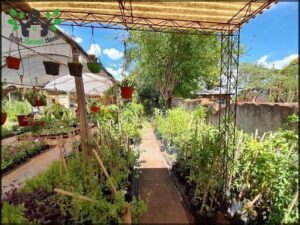 Vivero Fenix