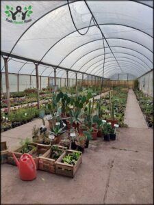 Vivero Fuji Garden Center Neuquen