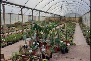 Vivero Fuji Garden Center Neuquen