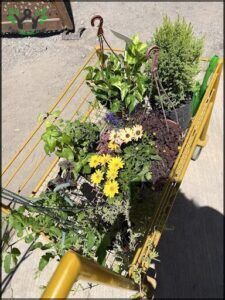 Vivero La Botica 1