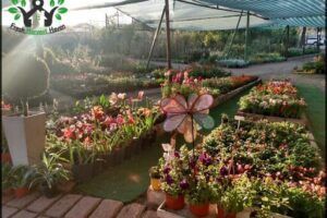 Vivero La Botica