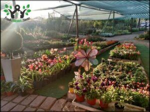 Vivero La Botica