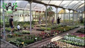 Vivero La Candelaria