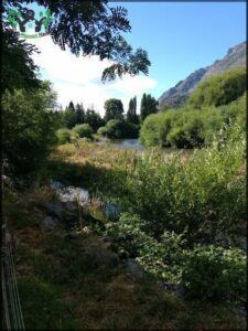 Vivero Las Araucarias