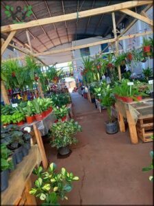 Vivero Las Cuatro Estaciones
