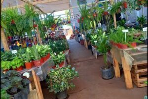 Vivero Las Cuatro Estaciones