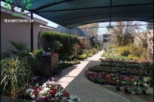 Vivero Las Gramíneas