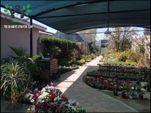 Vivero Las Gramíneas