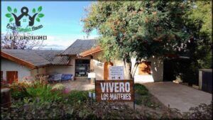 Vivero Los Maitenes