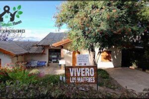 Vivero Los Maitenes