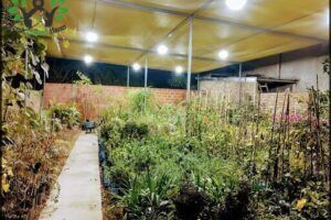 Vivero Mi Jardin
