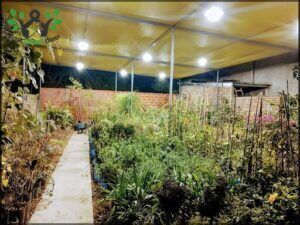 Vivero Mi Jardin