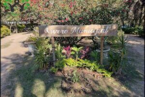 Vivero Municipal de La Ciudad de Formosa