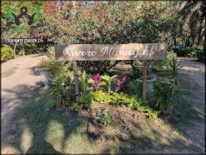 Vivero Municipal de La Ciudad de Formosa