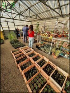 Vivero Nativas del Sur
