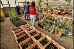 Vivero Nativas del Sur