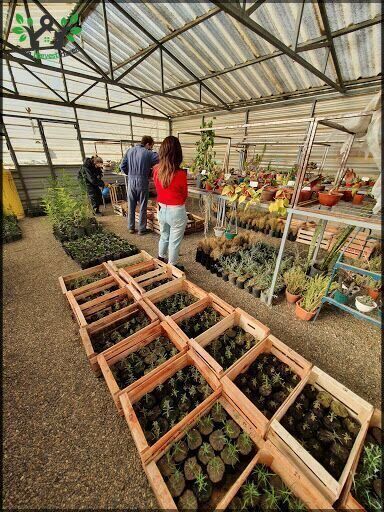 Vivero Nativas del Sur