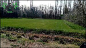 Vivero Natural S.A. 2
