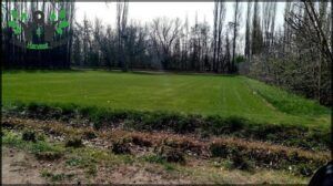 Vivero Natural S.A.