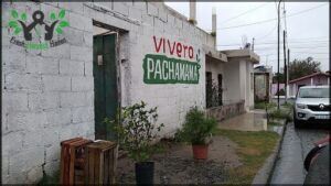 Vivero Pachamama