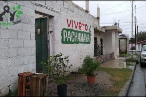 Vivero Pachamama