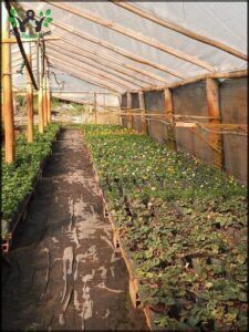 Vivero Quinta Los Teros