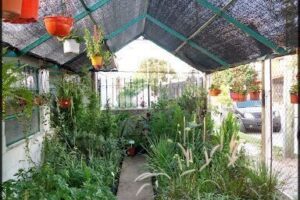 Vivero San Carlos