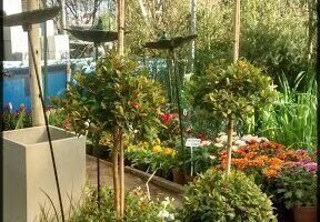 Vivero Valle Fértil