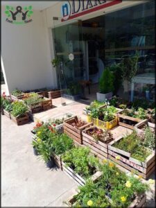Vivero Van Garden