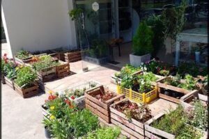 Vivero Van Garden