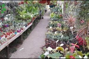 Vivero Zona Verde Esquel