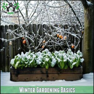 Winter Gardening Basics