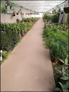 Yamanouchi Brothers Nursery
