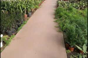 Yamanouchi Brothers Nursery
