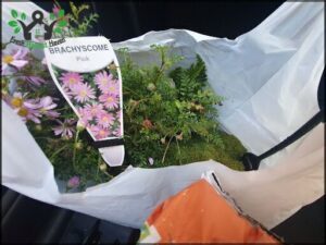 A bag of flowers is being carried by a person.
