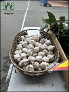A basket full of garlic sits on a table.