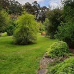 A beautiful garden with a pathway leading to a forest.