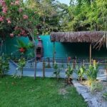 A beautiful garden with a small pool and a hut.