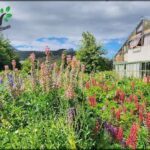 A beautiful garden with a variety of flowers, including pink and purple ones, is situated in front of a building.