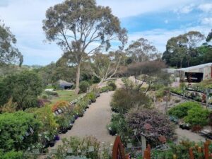 A beautiful garden with a variety of plants and flowers, including a large tree in the middle.