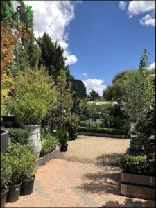 A beautiful garden with a variety of plants and flowers, including a potted plant with a vase on a brick walkway.