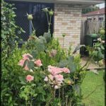 A beautiful garden with pink flowers and green leaves.