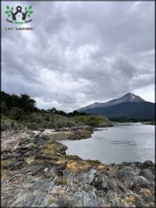A beautiful mountain range is visible in the distance, with a body of water in the foreground.