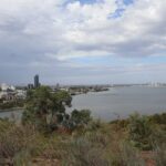 A beautiful view of a city by the water, with a tree in the foreground.
