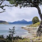 A beautiful view of a mountain lake with a tree in the foreground.