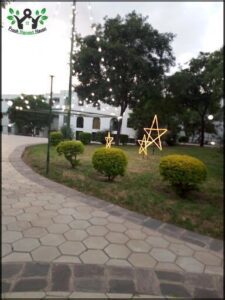 A beautifully lit up star-shaped light in a park.