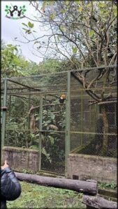 A bird is perched on a tree branch in front of a cage.