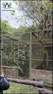 A bird perched on a tree branch in a zoo enclosure.