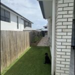 A black dog is sitting on the grass in front of a white house.