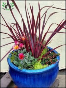 A blue vase filled with a variety of flowers and plants, including a red plant, is placed on a table.